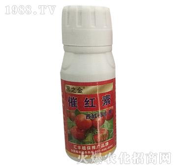 �߼t��-��֮��-�R�Sֲ��