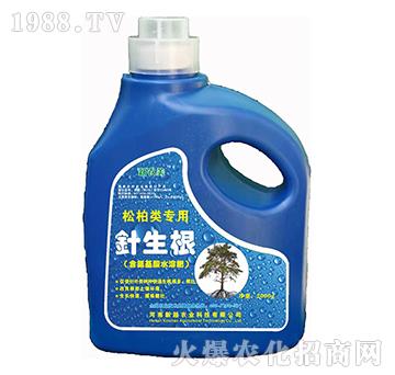 松柏類(lèi)專(zhuān)業(yè)含氨基酸水溶肥-針生根-新超
