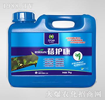 ��������������(zhu��n)��-���o(h��)��-�����-��������