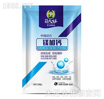 ��΢����-�V���}-�����