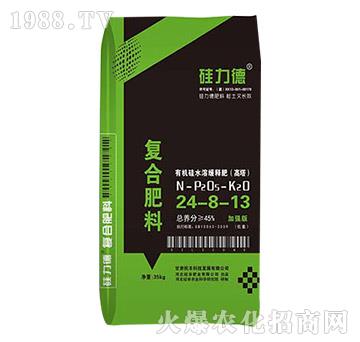 �ЙC��ͺϷ���24-8-13-������-��ȷʘI(y��)