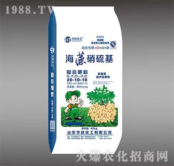 海藻硝硫基20-10-10復(fù)合肥料-華廷化工