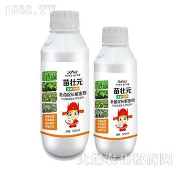 壯苗促長(zhǎng)解害劑-苗狀元-升華永樂