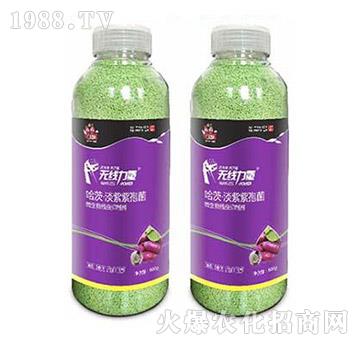 無(wú)線力量-薯幫主-升華永樂(lè)