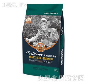 大量元素水溶肥30-8-12+TE-農(nóng)富天下