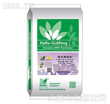大量元素水溶肥20-20-20+TE-海法海澤拉-海法