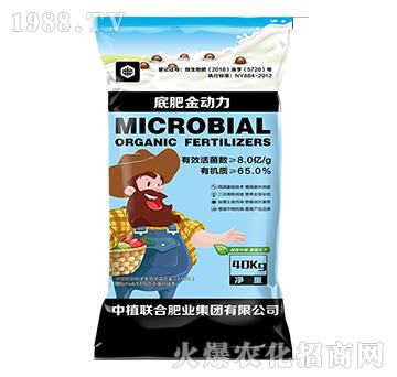 底肥金動(dòng)力-中植聯(lián)合