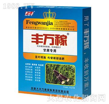 甘蔗專用肥-抗病增粗提糖增粗營(yíng)養(yǎng)液-豐萬稼