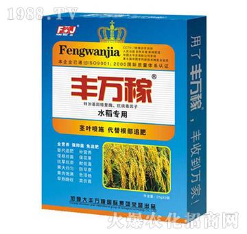 水稻專(zhuān)用抗病促根營(yíng)養(yǎng)增產(chǎn)化控劑-豐萬(wàn)稼