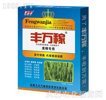 麥糧專用肥-促控抑菌防病營養(yǎng)增產(chǎn)化控劑-豐萬稼