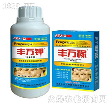 大姜專用液肥-抗病膨塊營養(yǎng)增產(chǎn)化控劑-豐萬稼