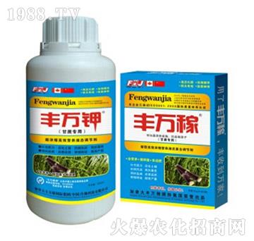 甘蔗專用高效營(yíng)養(yǎng)液態(tài)調(diào)節(jié)劑-豐萬稼