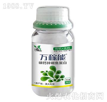磷鈣鋅硼魚蛋白-萬稼能-乾農(nóng)