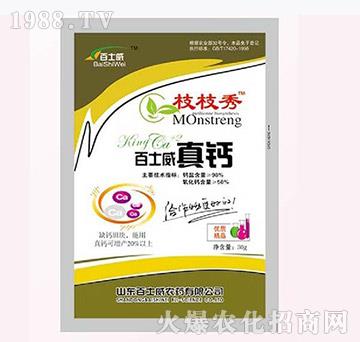 ��ʿ�����}-��ʿ��