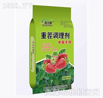 ��ݮ��(zhu��n)���ز��{(di��o)�턩-��ʿ��