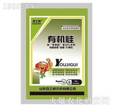 �ЙC��-��ʿ��