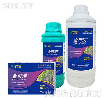 ���ጣ��-����Z