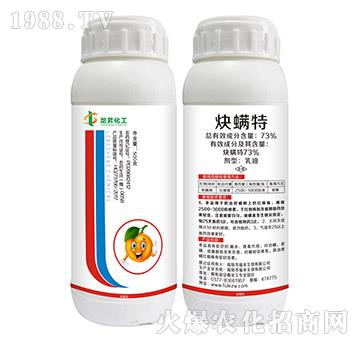 73%Ȳ����-���N����