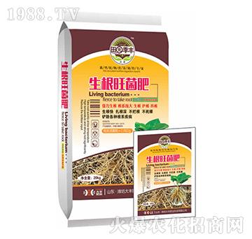 ����������-��@���S-���S�ʘI(y��)