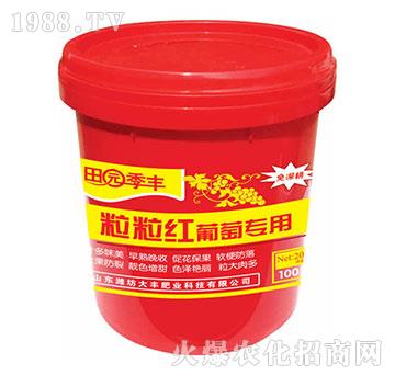 ���ь�(zhu��n)�������t-��@���S-���S�ʘI(y��)