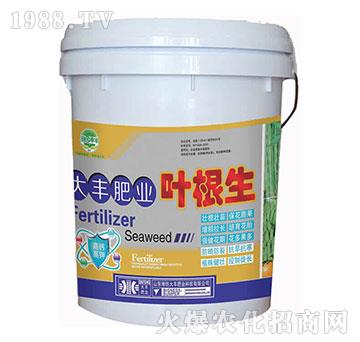 ���S�ʘI(y��)�~����-��@���S-���S�ʘI(y��)