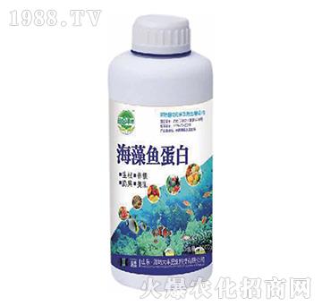 �����~(y��)����-��@���S-���S�ʘI(y��)