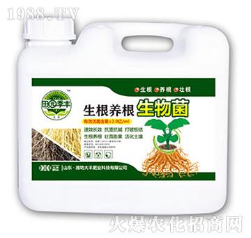 �����B(y��ng)�������-��@���S-���S�ʘI(y��)