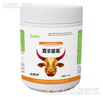 鼎豐賦能-天賜鼎立