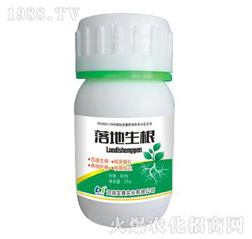 �������-���䌍(sh��)�I(y��)