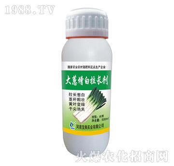 ���[�������L��-���䌍(sh��)�I(y��)