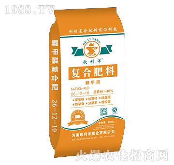 ���ȩ��(f��)�Ϸ���26-1