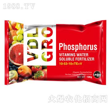 維生素水溶肥料10-53-10+TE+V-樂藝多