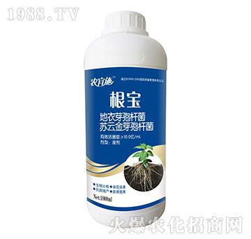 ����-�r(n��ng)��ʩ-��ķ�_