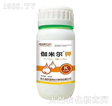 伽米爾鉀-羅思姆-木禾佳寶