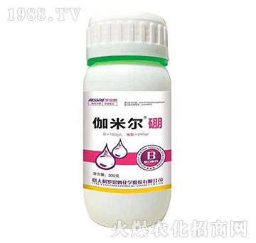 伽米爾硼-羅思姆-木禾佳寶