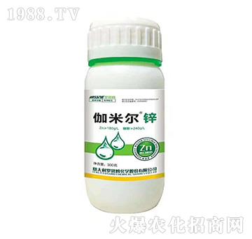 伽米爾鋅-羅思姆-木禾佳寶