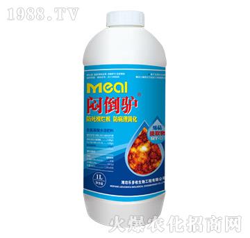 悶倒驢（1L）-樂多收