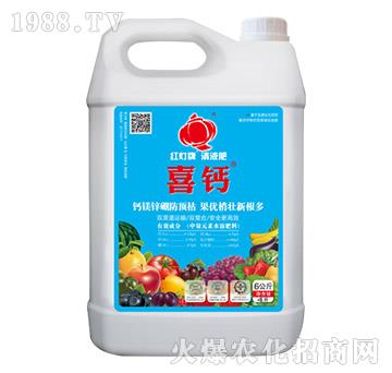 喜鈣（壺）-樂多收