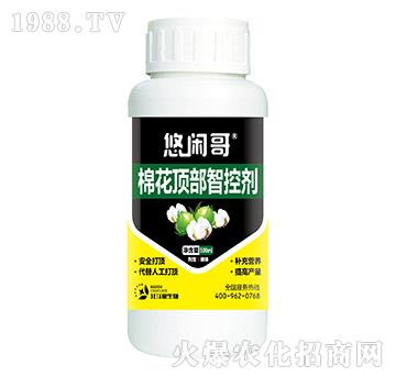 棉花頂部智控劑-悠閑哥-北斗星