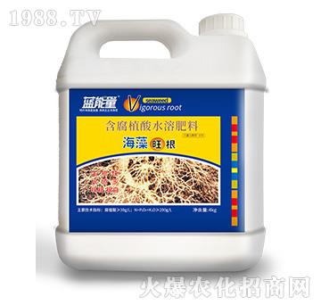 含腐植酸水溶肥料-海藻旺根（4kg）-藍能量