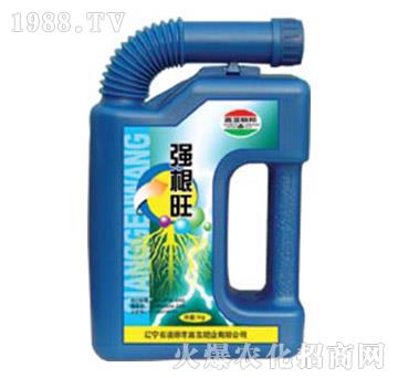 ������-�μ�