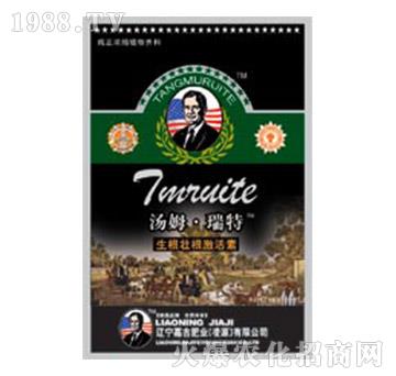 �����Ѹ�����-��ķ������-�μ�