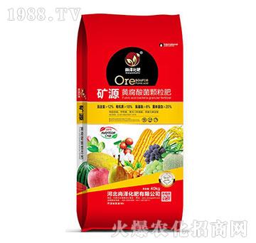 礦源黃腐酸菌顆粒肥-尚澤化肥
