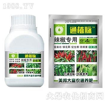 辣椒專用肥-通植脈-美邦科技