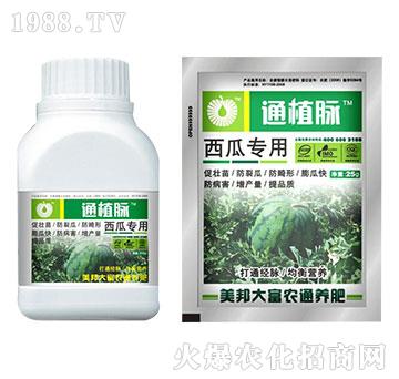 西瓜專用肥-通植脈-美邦科技