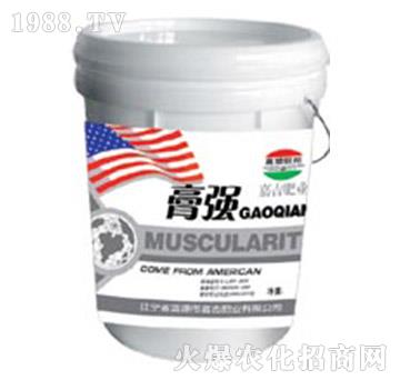 膏強(qiáng)-嘉吉