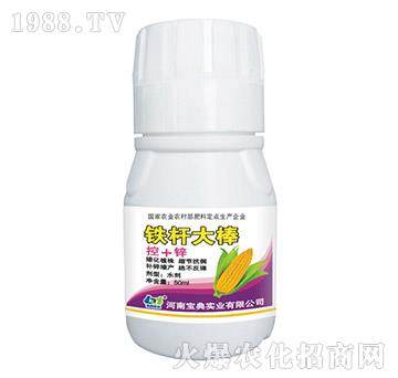 鐵桿大棒-寶典實(shí)業(yè)