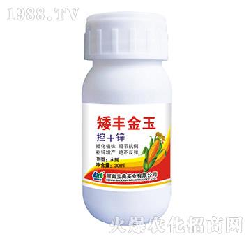 矮豐金玉-寶典實業(yè)