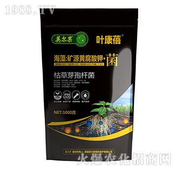 海藻：礦源黃腐酸鉀·菌-葉康蓓-英爾果