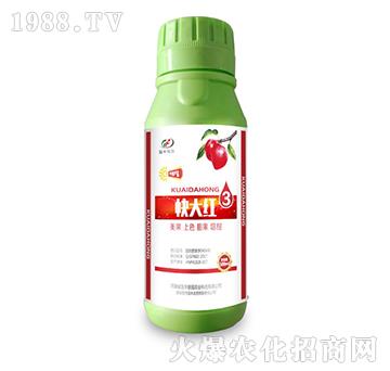 快大紅-國豐健園